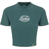 Dickies Globe Kortarmet T-skjorte