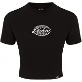 Dickies Globe Kortarmet T-skjorte