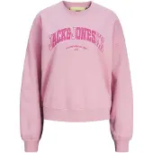 Jack & Jones Ava Rlx Ls Jjxx Collegegenser