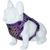 Freedog Boreal Hundesele