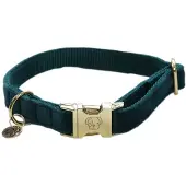 Kentucky Velvet Hundehalsbånd