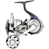 Daiwa Certate Lt 2019 Ark Jigging-snelle