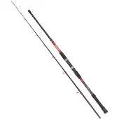 Kali Kunnan Dokoro Jigging Stang