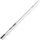 Daiwa Tournament Ags Spinnestang
