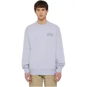 Dickies Aitkin Chest Collegegenser