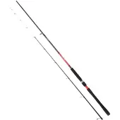 Daiwa Powermesh Tenya Spinnestang