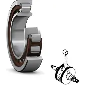 Skf Nu 6204-ecp - 20x47x14 Mm Lager