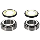 ProX Kawasaki Klx450r 08-21/kx250 92-08/450f 04-18/x 21-23/450f Styrelagersett
