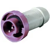 Oem Marine 3939245 Plugg 16a 12-24v