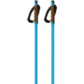 Fischer Storm Gtx M Spaserstokker