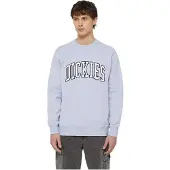 Dickies Aitkin Collegegenser