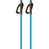 Fischer Storm Gtx L Spaserstokker
