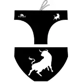 Turbo Bull Waterpolo Badetrusser