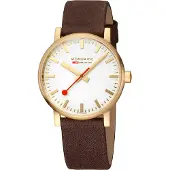 Mondaine Sbb Evo2 Slv Dial Klokke