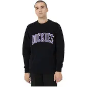 Dickies Aitkin Collegegenser