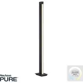 Pure LED-gulvlampe Lines, antrasitt, fjernkontroll, 140 cm