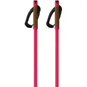 Fischer Storm Gtx M Spaserstokker