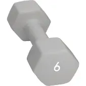 Abilica Hantel (6 kg)