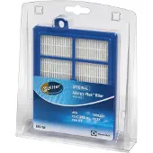 Electrolux S-filter EFS1W Allergie Plus