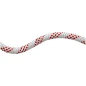 Mammut 11.0 Performance Static Tau