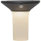 Star Trading LED-solcellelampe Valta med bevegelsessensor