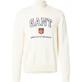 Gant for man. 8030224 Graphic beige jumper (L), Casual, Cotton