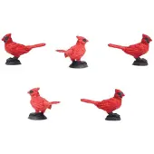 Safari Ltd Utdannings Kardinalfigur 192 Stykker