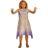Disguise Disney Frozen Elsa Basic Plus Jentekostyme