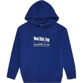 Tommy Hilfiger Waving Flag Hettegenser