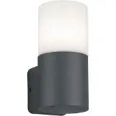 TRIO Utendørs vegglampe Hoosic 1 lyskilde, antrasitt