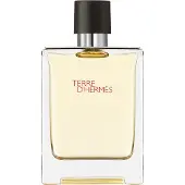 Hermès Paris Hermes Terre D'Hermes Eau De Toilette Spray 100ml