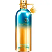 Montale Intense So Iris EDP 100ml