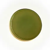 Marset LED-vegglampe Caramel, grønn, Ø 38 cm, TRIAC, glass