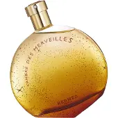 Hermès Paris Hermes L'Ambre Des Merveilles Eau De Parfum 100ml