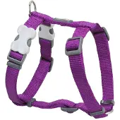 Red Dingo Smooth Hundesele