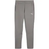 Puma EVOSTRIPE Pants Men, Clothing, Cast Iron, L