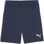 Puma individualLIGA Training Shorts Men, Clothing, Club Navy, 3XL