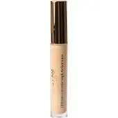 ALL I AM BEAUTY Ultimate Concealer Medium