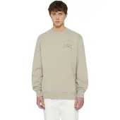 Dickies Aitkin Chest Collegegenser