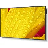 NEC Multisync M551-2 50´´ Skjerm