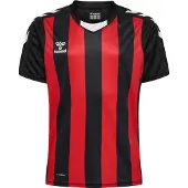 Hummel Core Xk Striped Kortarmet T-skjorte