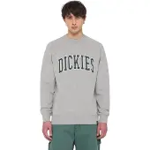 Dickies Aitkin Collegegenser