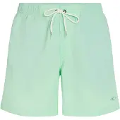 O'Neill Vert 16'' Boardshorts grønn