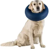 Trixie Inflatable Protector Hundehalsbånd