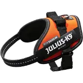 JULIUS K-9 K9 IDC sele, str.: Mini-Mini, UV Orange, 40-53 cm
