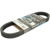 DAYCO Hpx5025 Transmisjonsrem