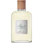 Ralph Lauren Polo Earth Antilles Vetiver Eau de Toilette 100 ml