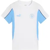 Puma Manchester City ftblARCHIVE Tee Men, Sport, White/Light Blue, XS