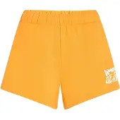 O'Neill Of The Wave Shorts gul