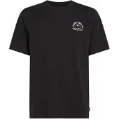 O'Neill Surf Co Kortarmet T-skjorte
